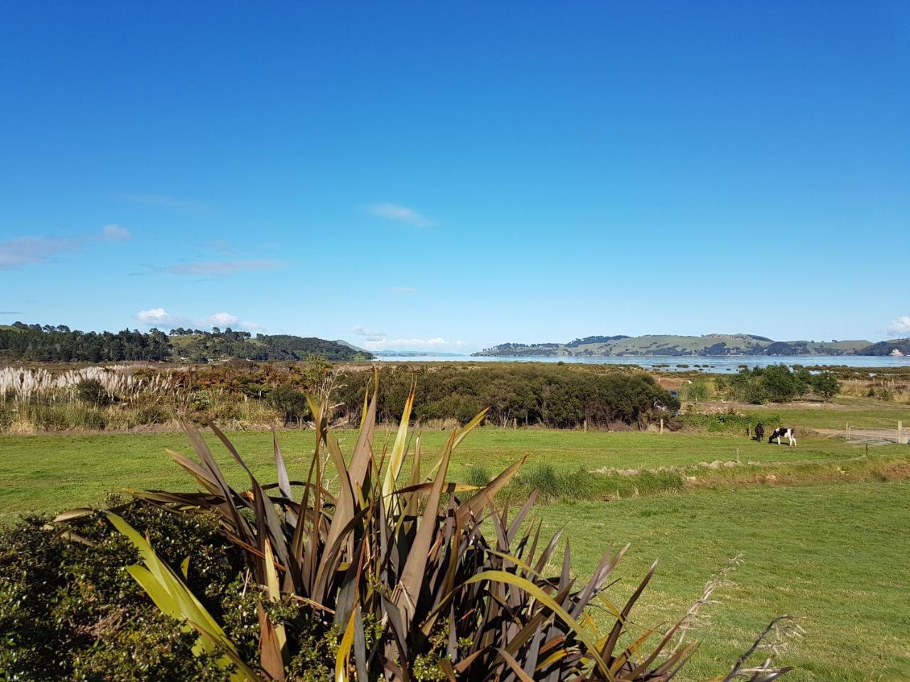 The Little Farm Coromandel Hotel Exterior foto